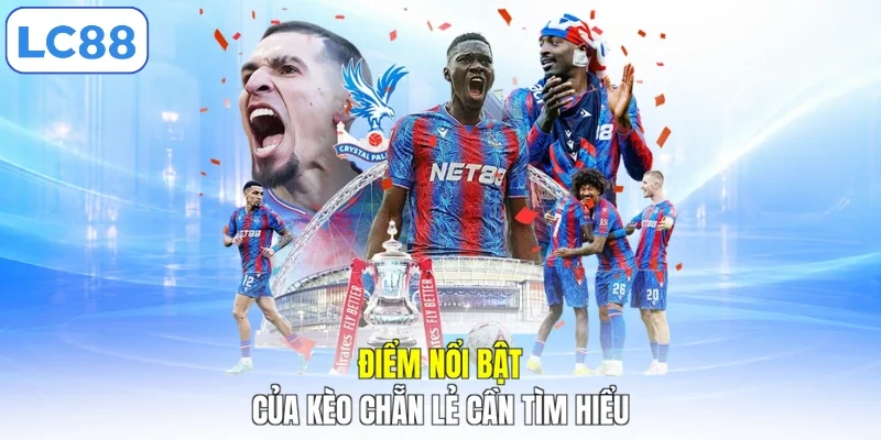 Điểm nổi bật của kèo chẵn lẻ cần tìm hiểu