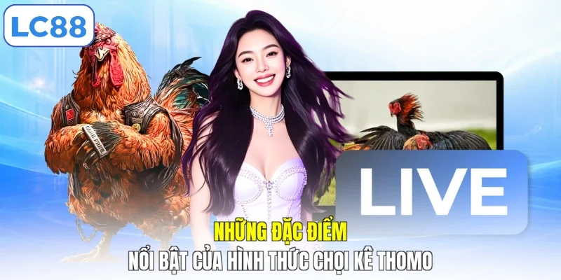 Những đặc điểm nổi bật của hình thức chọi kê Thomo
